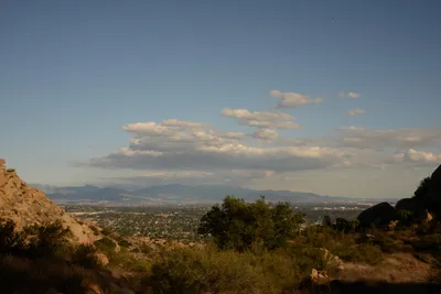 DSC_5541 (Large).JPG